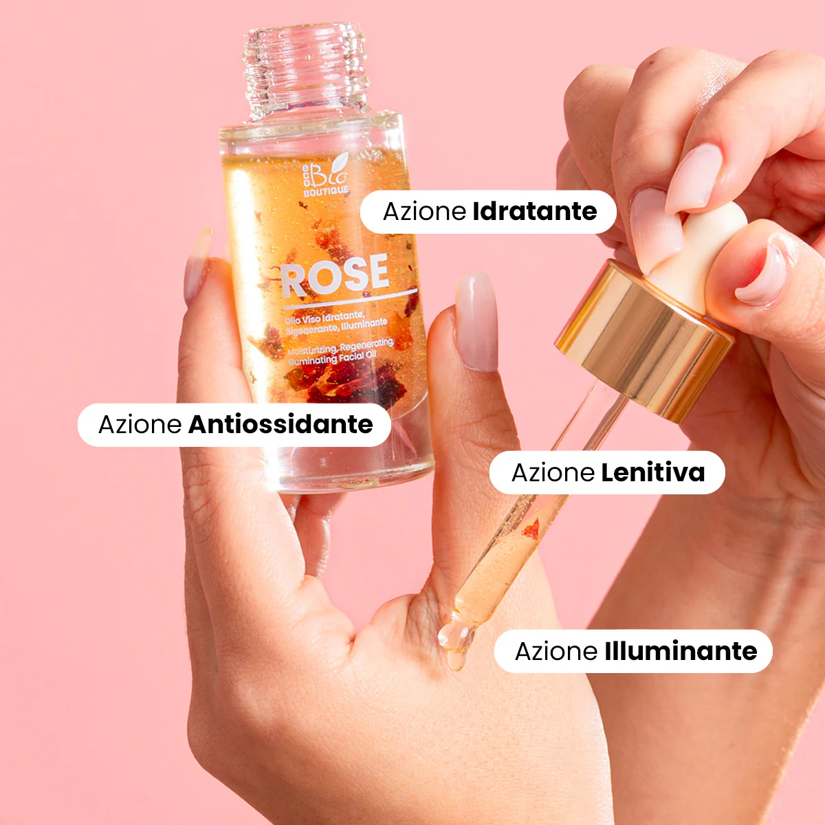 Rose - Image 3